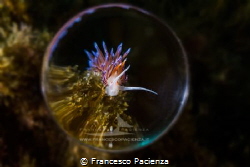 [:b:]Emisphere[:/b:]
No Photoshop manipulation. by Francesco Pacienza 